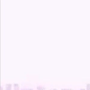 Meet your Posher, Chase